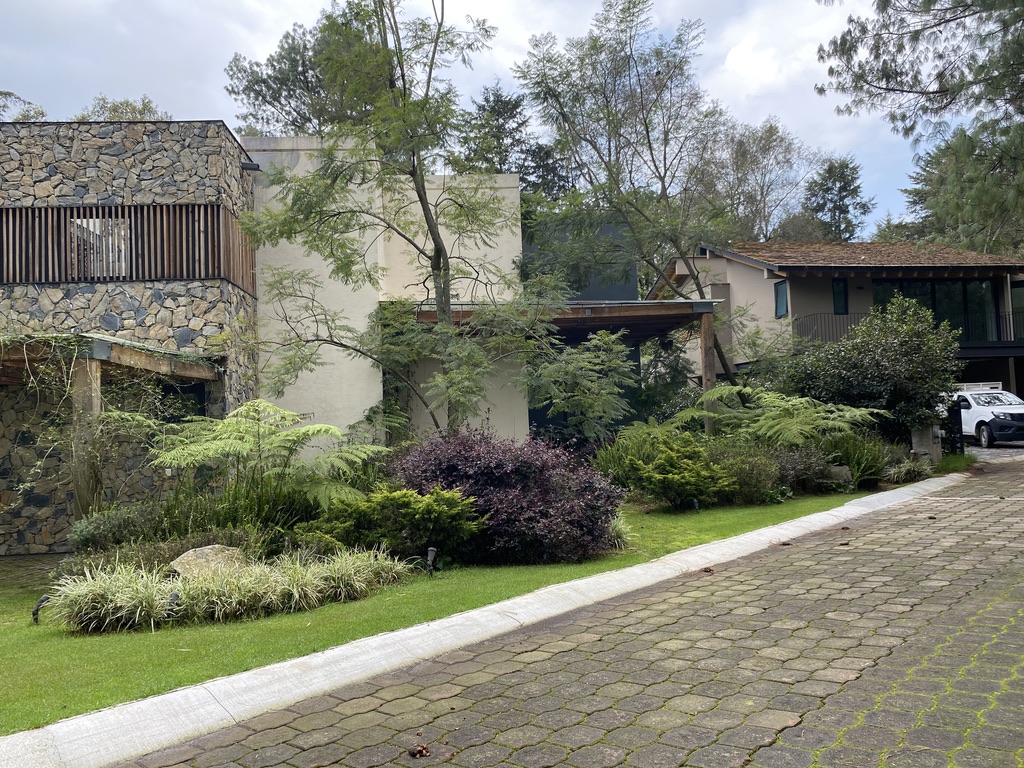 Paisaje arquitectónico de lujo con ecosistema forestal endémico